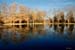 Rex_Beetner-1