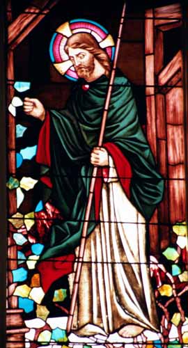 Stain Glass 30 FPC