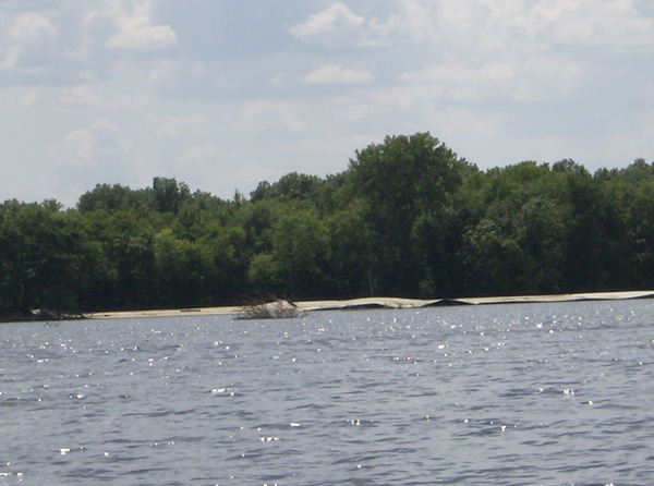 FH010001