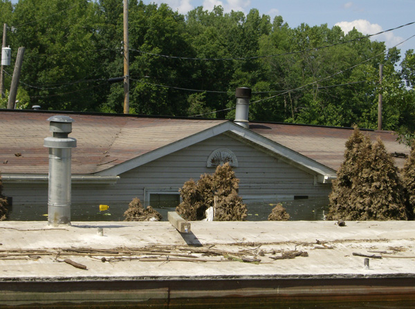 FH010006