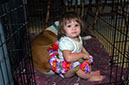 Test Pictures 013